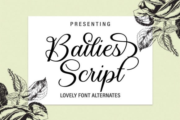 Bailies Script Font for Elegant Branding