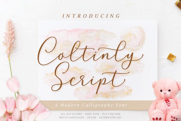 Coltinly Script: A Modern Typeface for Branding