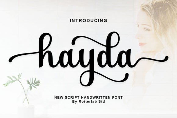 Hayda Script: A Modern Calligraphy Typeface for Web Design